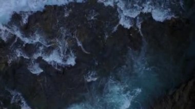 Hava video Glacier Ulusal Parkı. Orman.