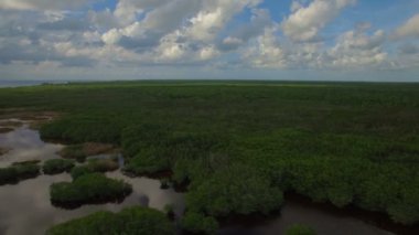 Meksika Cozumel hava video