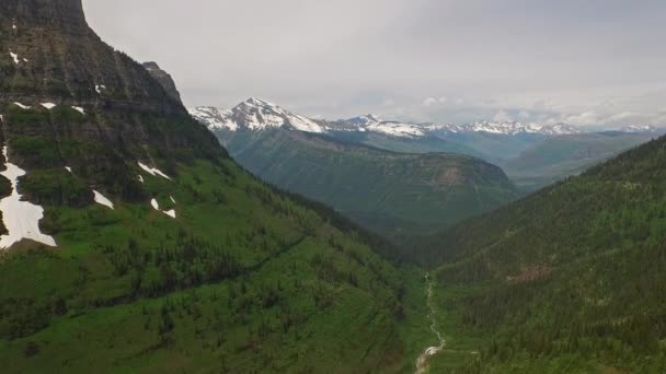 Vidéo aérienne du parc national des Glaciers. Forêt .