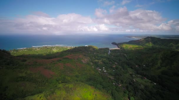 Hawaï Aérien Kauai Kalihiwai Jungle Journée Ensoleillée — Video