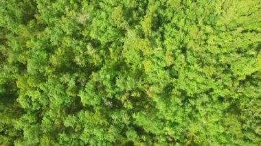 Mississippi kırsalında hava video 