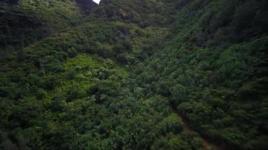 Hava Hawaii Kauai Kalalau Napali sahil Devlet Parkı