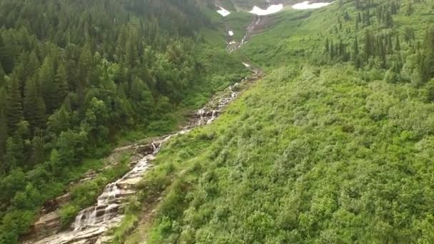 Vídeo Aéreo Del Parque Nacional Glaciar Bosque — Vídeo de stock