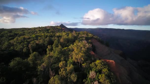 Havaí Aéreo Kauai Waimea Canyon — Vídeo de Stock