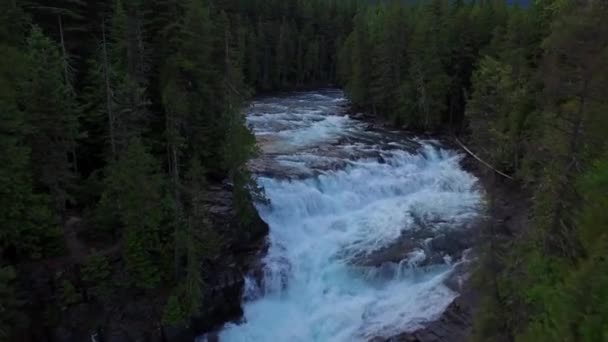 Vídeo Aéreo Parque Nacional Glacier Floresta — Vídeo de Stock