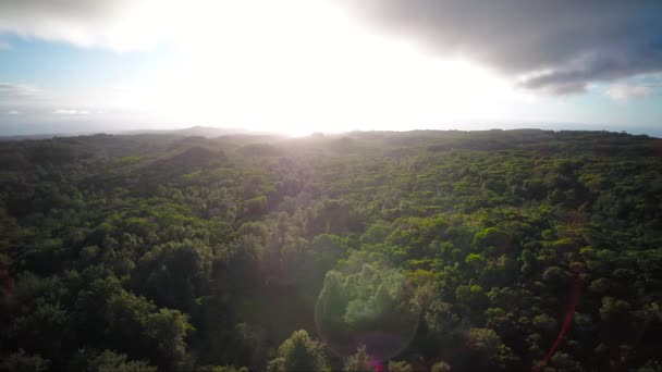 Aerial Hawaii Kauai Waimea Canyon — Stockvideo