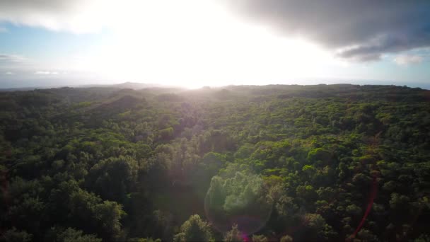 Εναέρια Χαβάη Kauai Φαραγγιού Waimea — Αρχείο Βίντεο