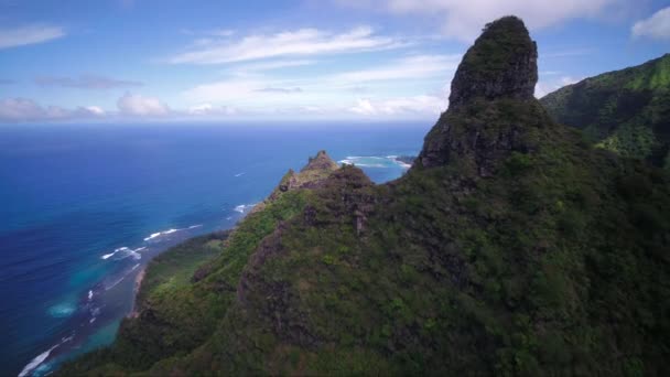 Aerial Hawaii Dari Kauai Kalalau Napali Coast Park — Stok Video