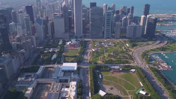 Luftbild Von Der Innenstadt Chicagos Einem Sonnigen Tag — Stockvideo