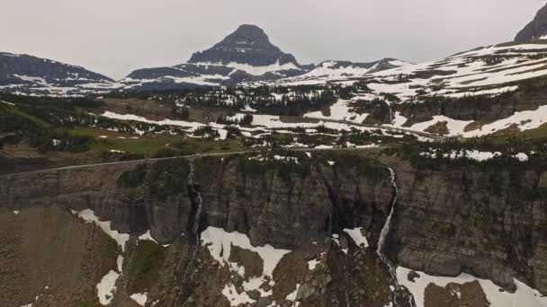 Воздушное Видео Национального Парка Ледник Лес — стоковое видео