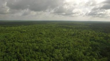 Mississippi kırsalında hava video 