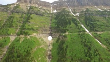Hava video Glacier Ulusal Parkı. Orman.