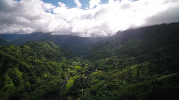 Hawai Aéreo Kauai Kalihiwai Jungle Sunny Day — Vídeo de stock