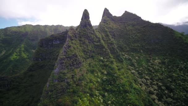 Hava Hawaii Kauai Kalalau Napali Sahil Devlet Parkı — Stok video