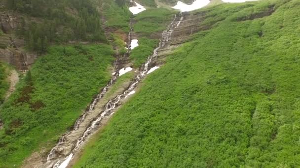 Luchtfoto Video Van Glacier National Park Forest — Stockvideo