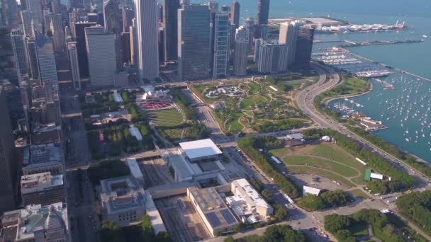 Luchtfoto Video Van Chicago Een Zonnige Dag — Stockvideo
