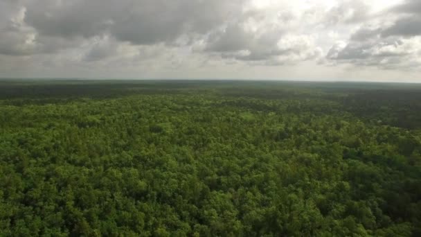 Vídeo Aéreo Campo Mississippi — Vídeo de Stock