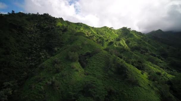 Letecký Hawaii Kauai Kalihiwai Jungle Slunečného Dne — Stock video