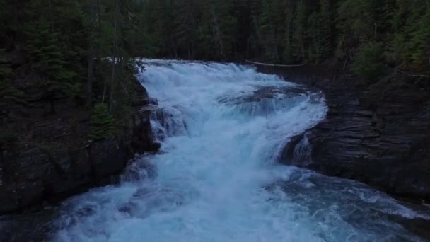 Lotnicze Wideo Glacier National Park Lasu — Wideo stockowe