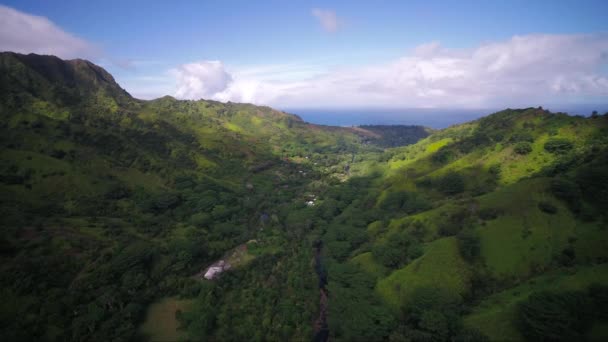 Luchtfoto Hawaii Van Kauai Kalihiwai Jungle Zonnige Dag — Stockvideo