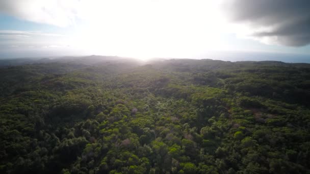 Aerial Hawaii Kauai Waimea Canyon — Stockvideo