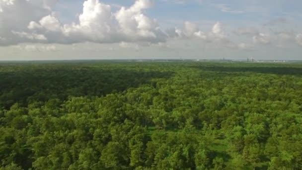 Video Aereo Della Campagna Del Mississippi — Video Stock