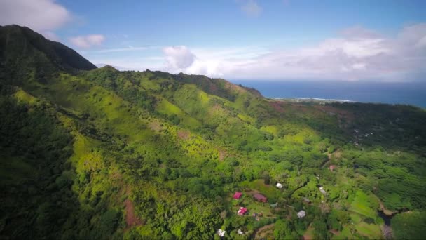 Hawaï Aérien Kauai Kalihiwai Jungle Journée Ensoleillée — Video