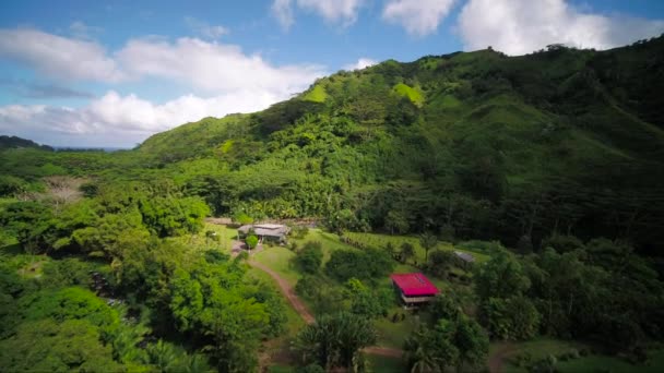 Aerea Hawaii Kauai Kalihiwai Giungla Sunny Day — Video Stock