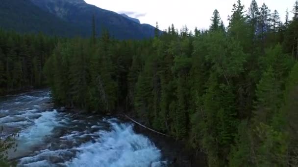 Vídeo Aéreo Del Parque Nacional Glaciar Bosque — Vídeo de stock