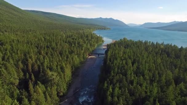 Video Aereo Del Parco Nazionale Del Ghiacciaio Foresta — Video Stock