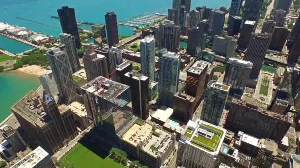 Luftbild Der Innenstadt Chicagos — Stockvideo