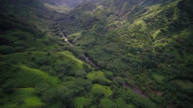 Kauai Kalihiwai orman güneşli gün hava Hawaii