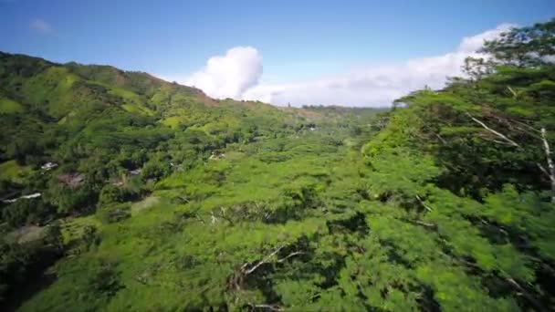 Aerea Hawaii Kauai Kalihiwai Giungla Sunny Day — Video Stock