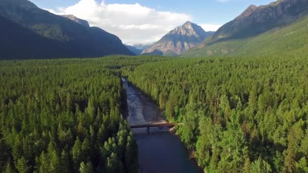 Luchtfoto Video Van Glacier National Park Forest — Stockvideo