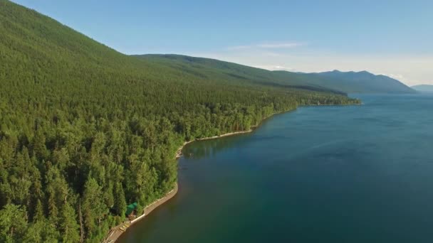 Video Aereo Del Parco Nazionale Del Ghiacciaio Foresta — Video Stock