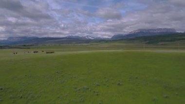 At Montana dağlarında bir arazide çalışan bir grup hava video.