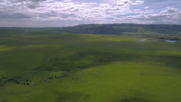 Luchtfoto Video Van Een Groep Van Paarden Die Een Weiland — Stockvideo