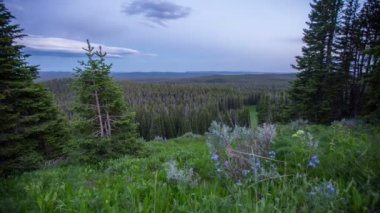 Zaman atlamalı Yellowstone Milli Parkı'nda.