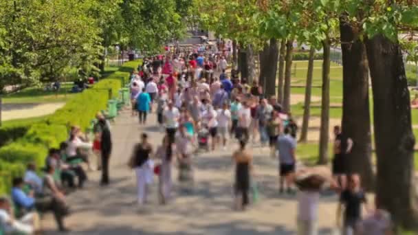 Time Lapse People Walking Paris Francia — Video Stock