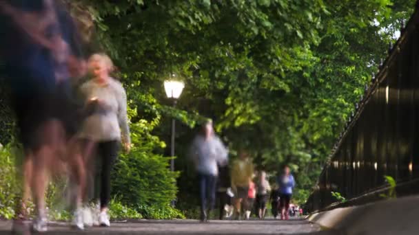 Zaman Atlamalı Insan Central Park New York Şehrinde Yürüyüş — Stok video