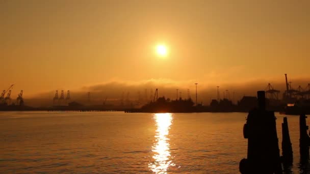 ワシントン州シアトル造船所の映像 — ストック動画