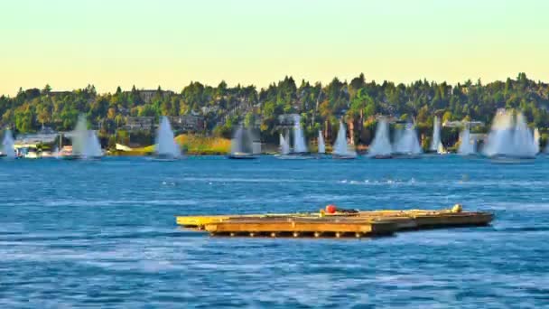 Zeitraffer Von Segelbooten Auf Dem Lake Union Seattle Washington — Stockvideo