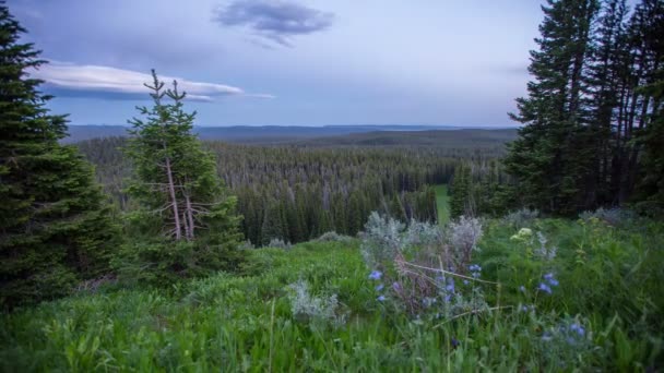 Tidsfördröjning Yellowstone National Park — Stockvideo