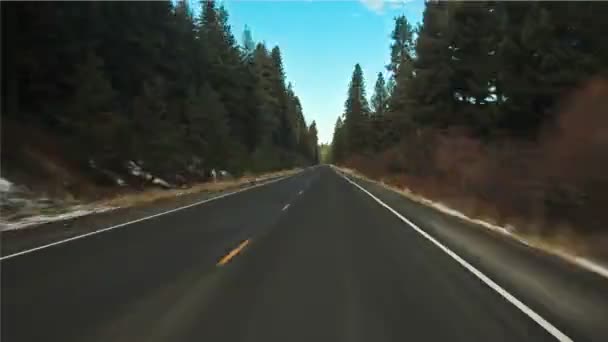 Caducidad Del Tiempo Conducción Bosque Nacional Hood — Vídeos de Stock