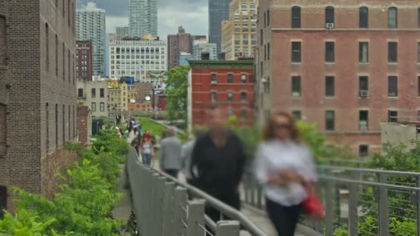 Time Lapse High Line New York — Stock Video