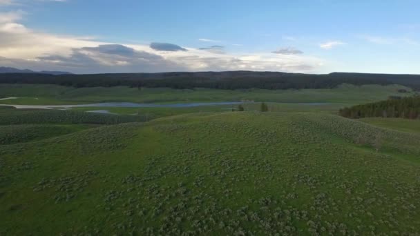 Luftaufnahme Des Yellowstone Nationalparks — Stockvideo