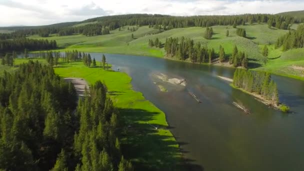 Aerial Wyoming Yellowstone National Park — Stockvideo