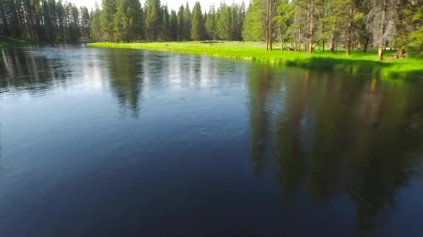 Aerial Wyoming Yellowstone National Park — Stockvideo