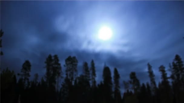 Kilátás Fehér Bolyhos Felhők Égen Erdő Felett Éjszaka — Stock videók