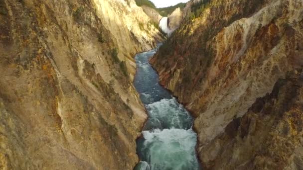 Aerial Wyoming Yellowstone National Park — Stock Video